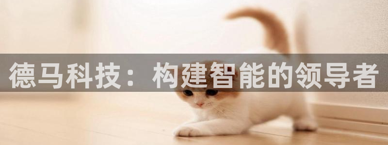 德马科技：构建智能的领导者